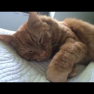 Meet your Posher, Catherine